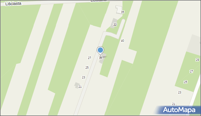 Trzciany, Leśnej Polany, 36, mapa Trzciany