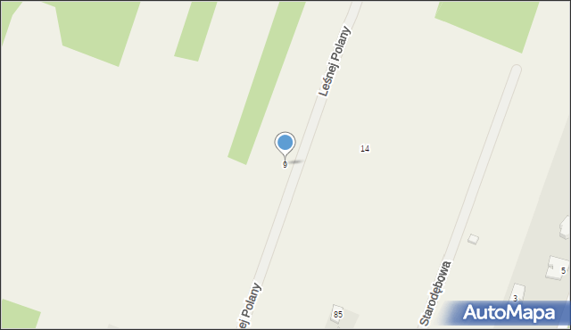 Trzciany, Leśnej Polany, 9, mapa Trzciany