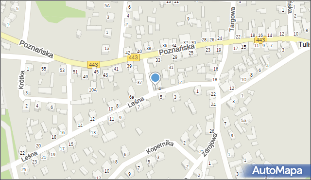 Tuliszków, Leśna, 6, mapa Tuliszków