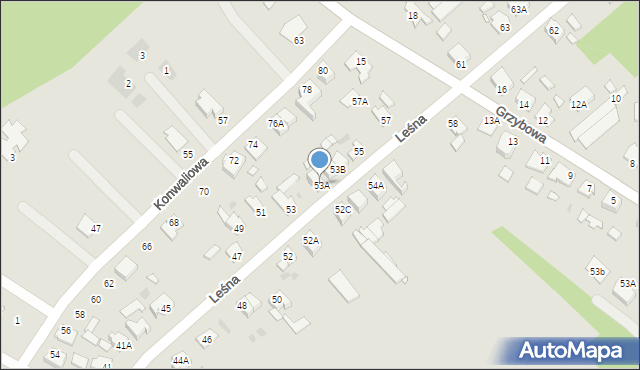 Wągrowiec, Leśna, 53A, mapa Wągrowiec