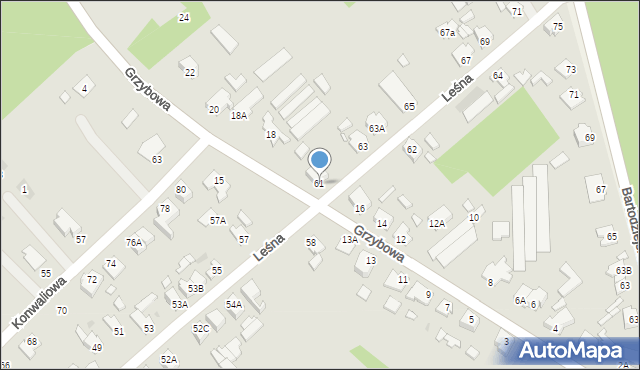 Wągrowiec, Leśna, 61, mapa Wągrowiec