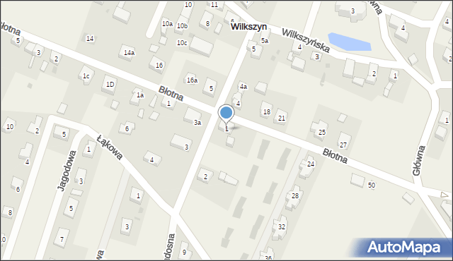 Wilkszyn, Leśna, 6, mapa Wilkszyn