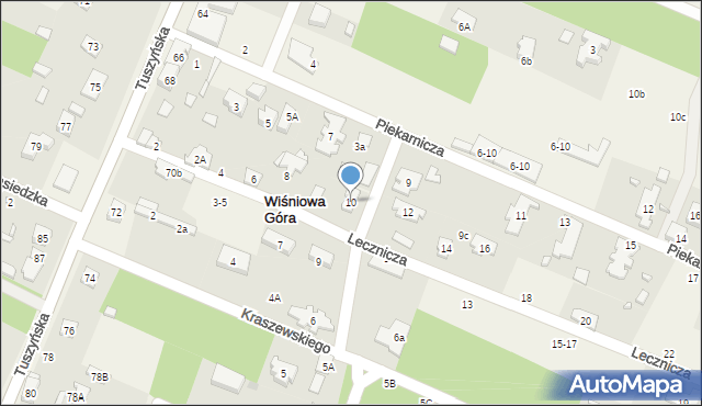 Wiśniowa Góra, Lecznicza, 10, mapa Wiśniowa Góra