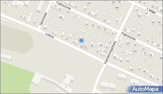 Wolbrom, Leśna, 31, mapa Wolbrom