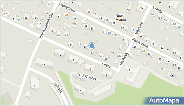 Wolbrom, Leśna, 53, mapa Wolbrom