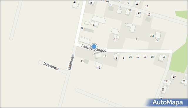 Wołczkowo, Leśnych Jagód, 2, mapa Wołczkowo