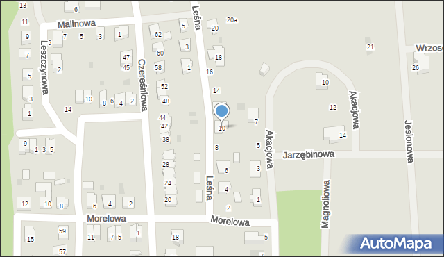 Wschowa, Leśna, 10, mapa Wschowa