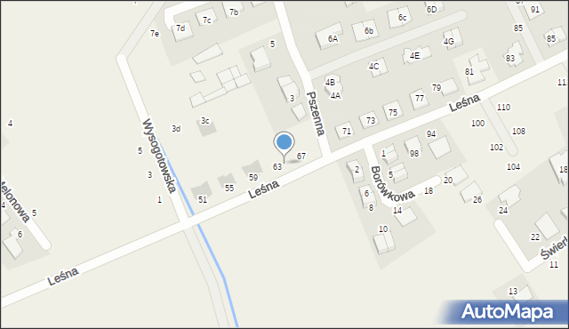 Wysogotowo, Leśna, 65, mapa Wysogotowo
