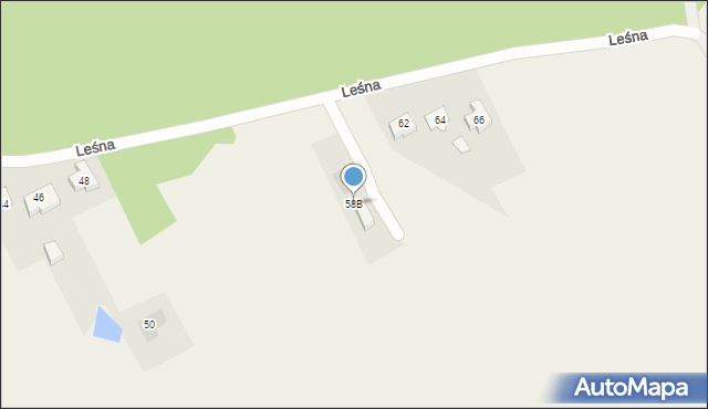 Żychlin, Leśna, 58B, mapa Żychlin