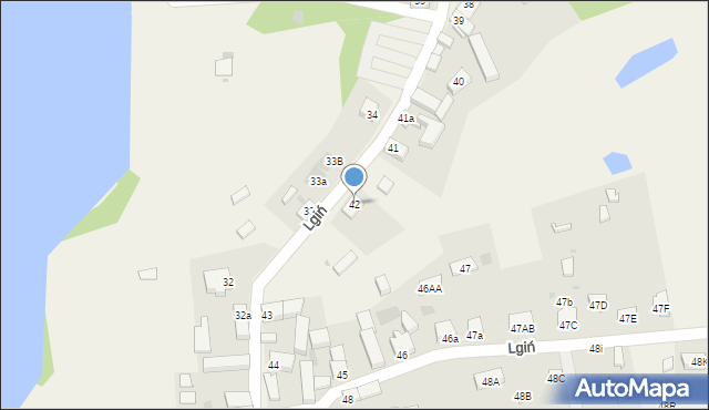 Lgiń, Lgiń, 42, mapa Lgiń
