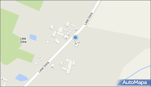 Borek Wielkopolski, Lisia Góra, 1b, mapa Borek Wielkopolski