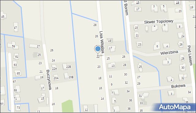 Borówiec, Lisa Witalisa, 22, mapa Borówiec