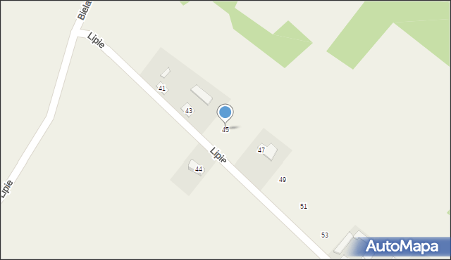 Brudzów, Lipie, 45, mapa Brudzów