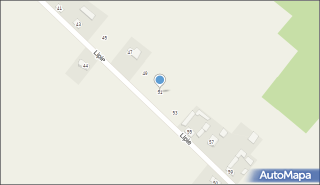 Brudzów, Lipie, 51, mapa Brudzów