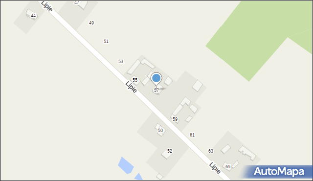 Brudzów, Lipie, 57, mapa Brudzów