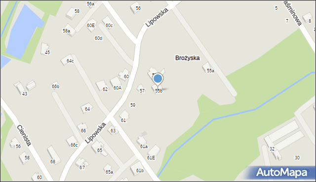 Czechowice-Dziedzice, Lipowska, 55b, mapa Czechowic-Dziedzic