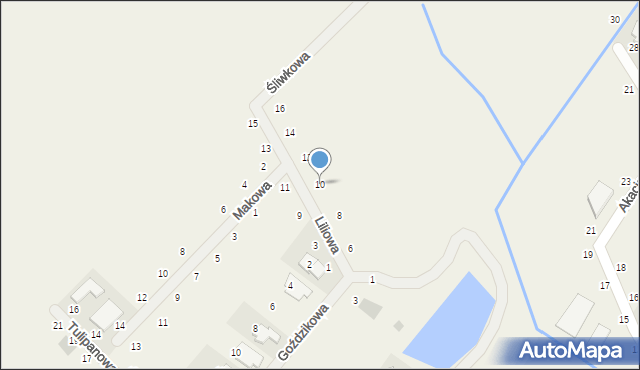 Dąbrowa, Liliowa, 10, mapa Dąbrowa