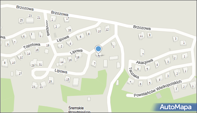 Dolsk, Lipowa, 5, mapa Dolsk