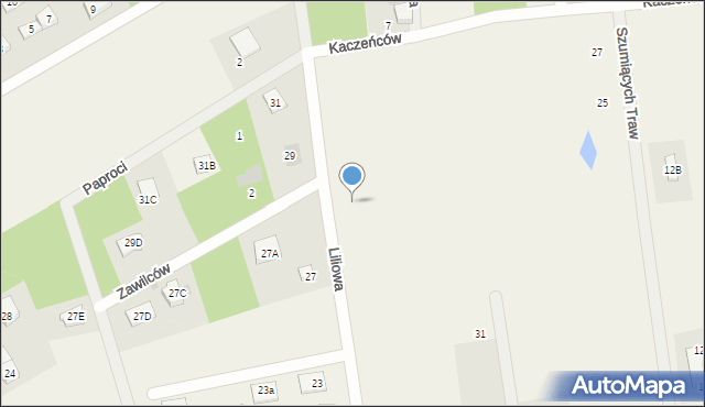 Góraszka, Liliowa, 8, mapa Góraszka