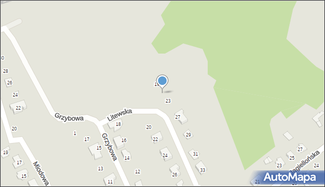 Kędzierzyn-Koźle, Litewska, 21, mapa Kędzierzyna-Koźle