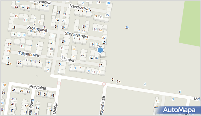 Konstantynów Łódzki, Liliowa, 18, mapa Konstantynów Łódzki