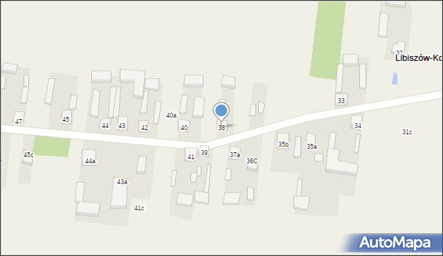 Libiszów-Kolonia, Libiszów-Kolonia, 38, mapa Libiszów-Kolonia