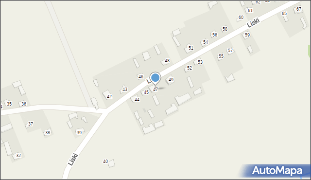 Liski, Liski, 47, mapa Liski