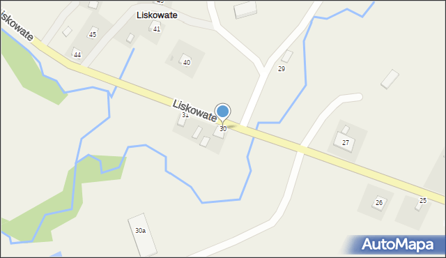 Liskowate, Liskowate, 30, mapa Liskowate