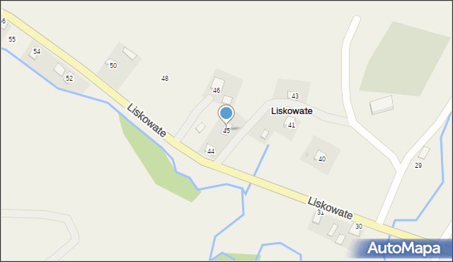 Liskowate, Liskowate, 45, mapa Liskowate