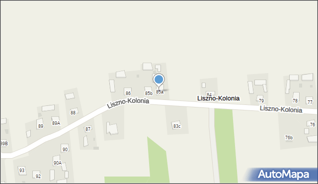 Liszno-Kolonia, Liszno-Kolonia, 85a, mapa Liszno-Kolonia