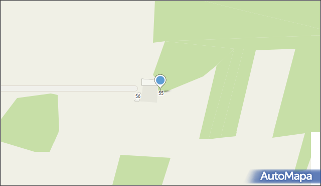 Litwinowicze, Litwinowicze, 55, mapa Litwinowicze