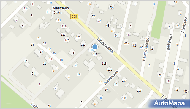 Maszewo Duże, Lipnowska, 117, mapa Maszewo Duże
