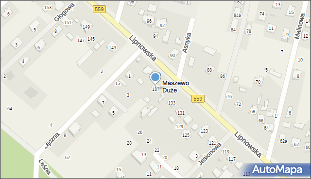 Maszewo Duże, Lipnowska, 137, mapa Maszewo Duże