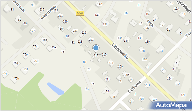 Maszewo Duże, Lipnowska, 217, mapa Maszewo Duże