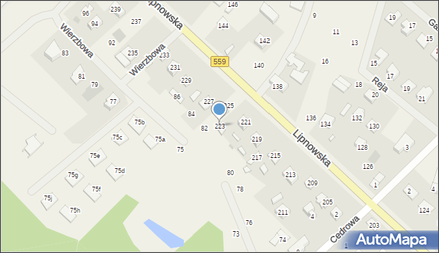 Maszewo Duże, Lipnowska, 223, mapa Maszewo Duże