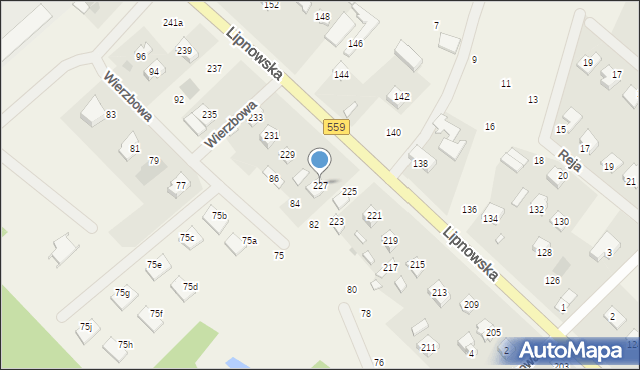 Maszewo Duże, Lipnowska, 227, mapa Maszewo Duże