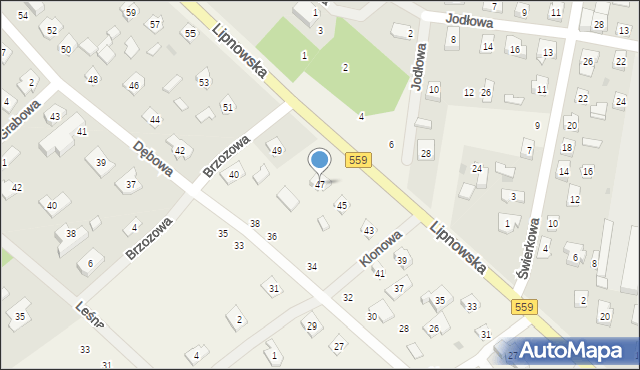 Maszewo Duże, Lipnowska, 47, mapa Maszewo Duże