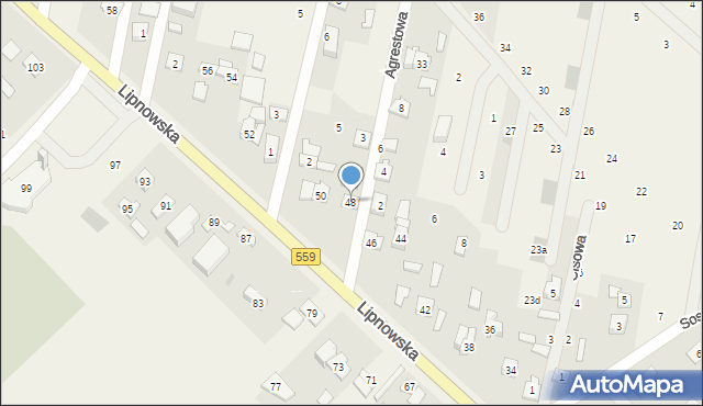 Maszewo Duże, Lipnowska, 48, mapa Maszewo Duże