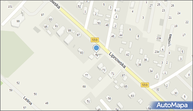 Maszewo Duże, Lipnowska, 79, mapa Maszewo Duże