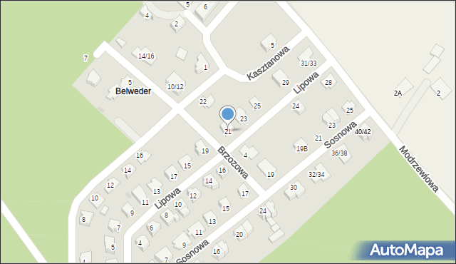 Mogielnica, Lipowa, 21, mapa Mogielnica