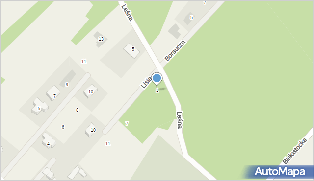 Niewodnica Kościelna, Lisia, 1, mapa Niewodnica Kościelna
