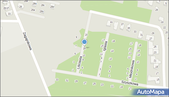 Poznań, Liściasta, 14, mapa Poznania