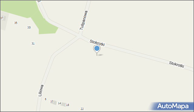 Radziszewo, Liliowa, 54, mapa Radziszewo