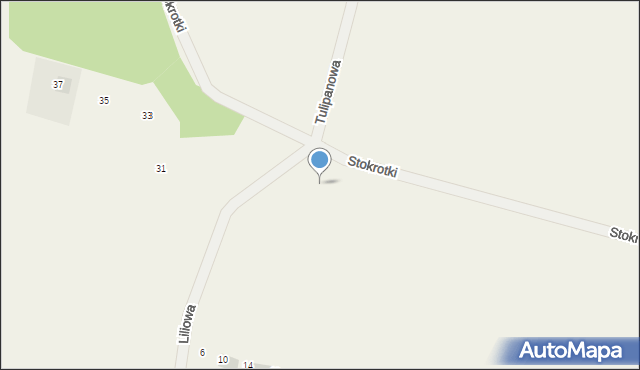 Radziszewo, Liliowa, 58, mapa Radziszewo