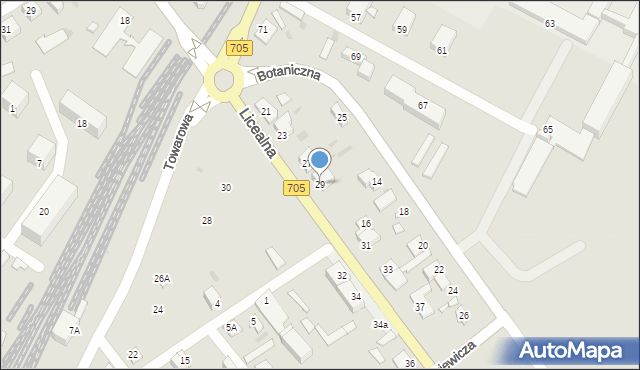 Sochaczew, Licealna, 29, mapa Sochaczew