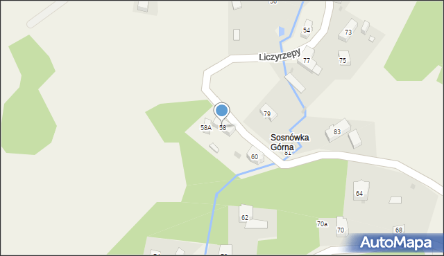 Sosnówka, Liczyrzepy, 58, mapa Sosnówka