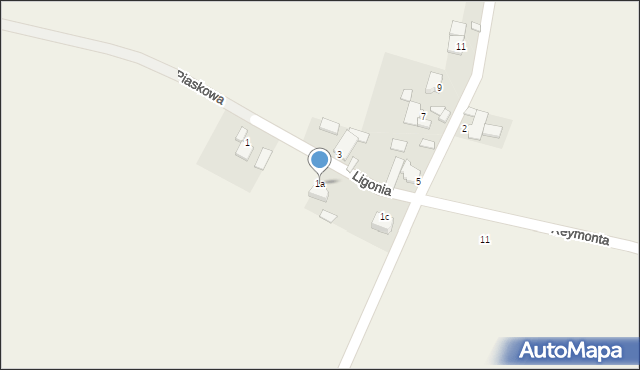 Suchodaniec, Ligonia, 1a, mapa Suchodaniec