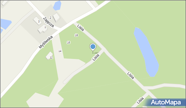 Tomaszkowo, Lisia, 2, mapa Tomaszkowo