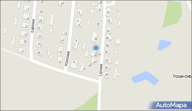 Trzciel, Lipowa, 41, mapa Trzciel