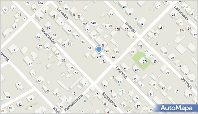 Warszawa, Licealna, 47a, mapa Warszawy